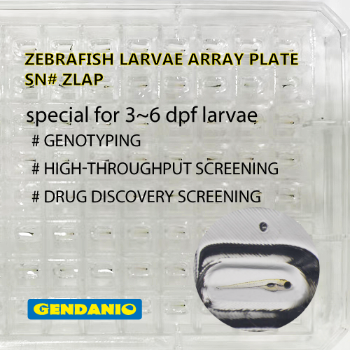 Zebrafish Larvae Array Plate