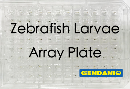 Zebrafish Larvae Array Plate 03